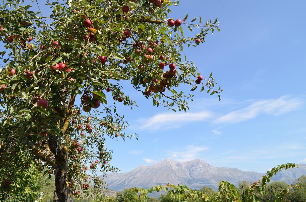Agriturismo Villa Palentina Скуркола-Марсикана Экстерьер фото